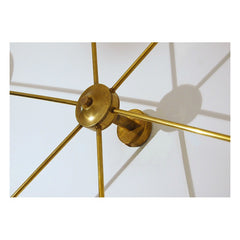 Orbita (Art. 1133)