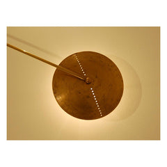 Orbita (Art. 1133)
