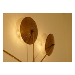 Orbita (Art. 1133)