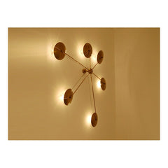 Orbita (Art. 1133)
